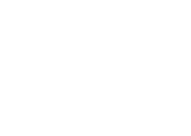 ImmiMatch logo white