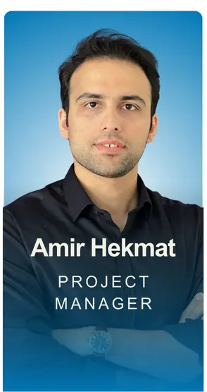 amir hekmat immimatch